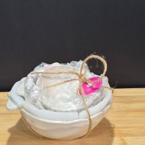 NWT Tri-Coastal Design Sea Shell Measuring Cups Beach Nautical Kitchen Boho